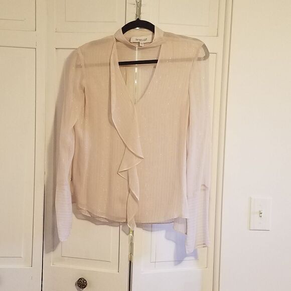 Derek Lamb 10 Crosby Sheer Silk Blouse - Picture 3 of 8